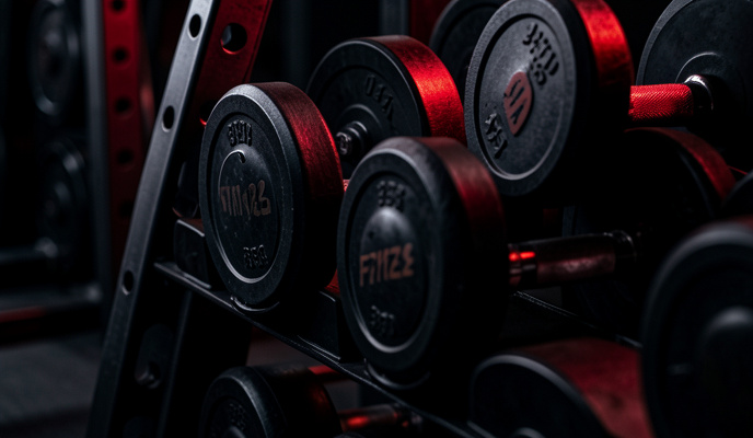 Apex Fitness equipment